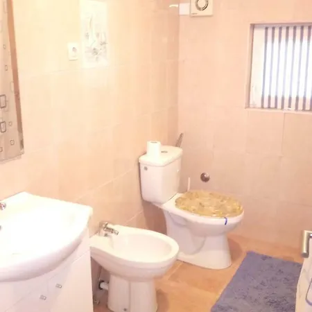 Apartment Apartman Biba Maslenica